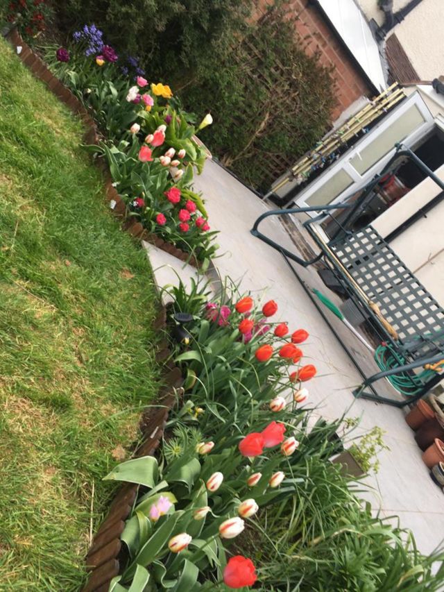 Flowers