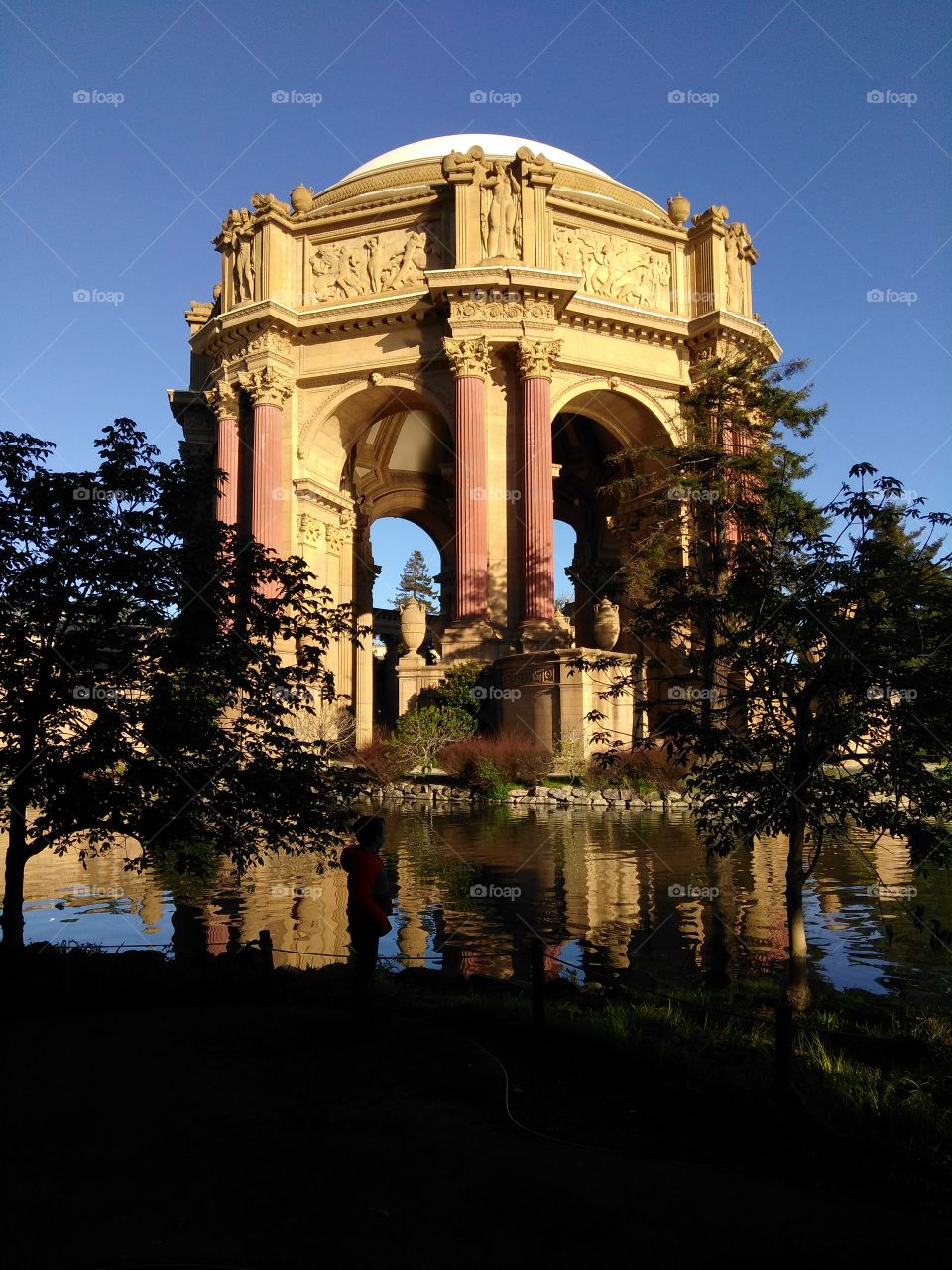 San Francisco palace of fine arts