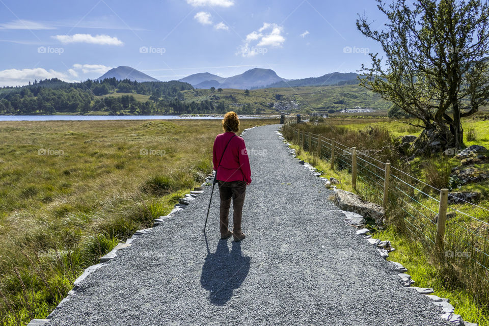 Walker. Snowdonia