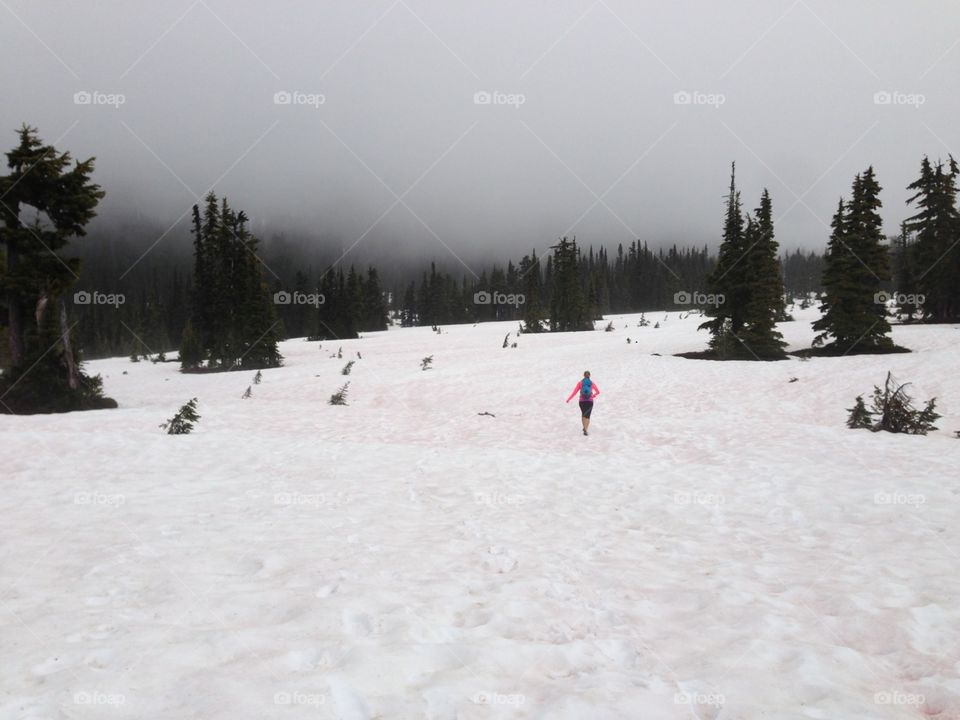 Snow, Winter, Cold, Recreation, Resort