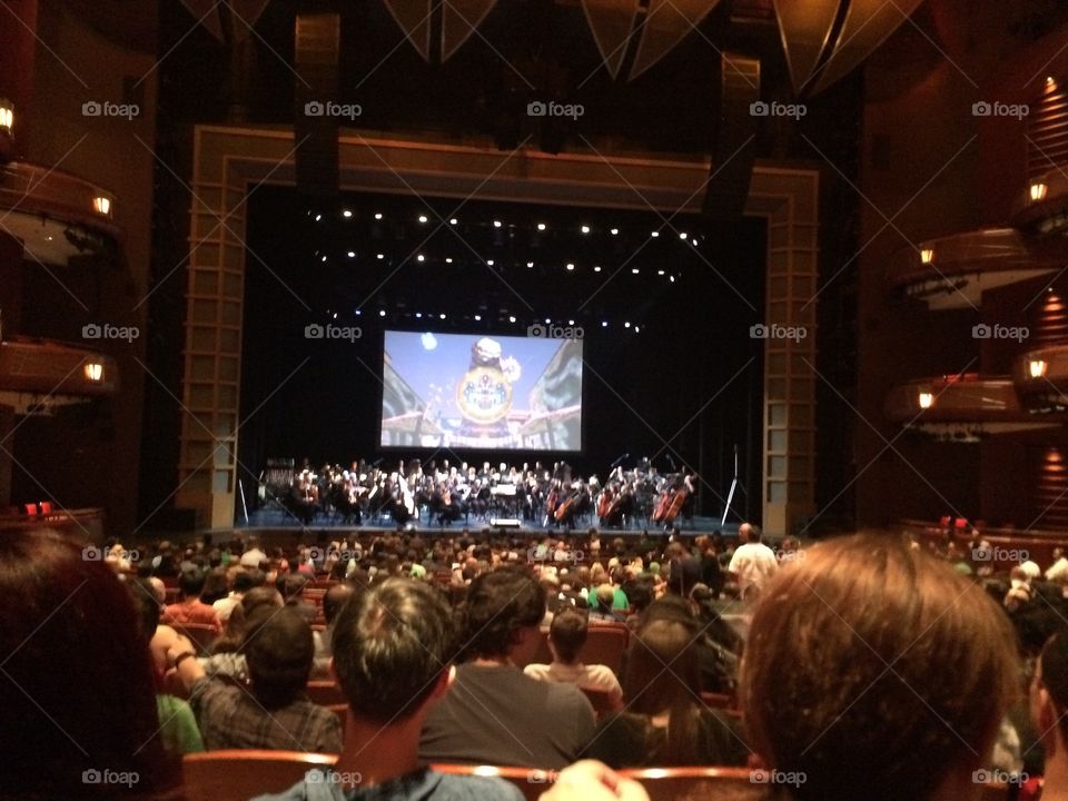 Symphony, Zelda, legend of Zelda, music, orchestra, beautiful 