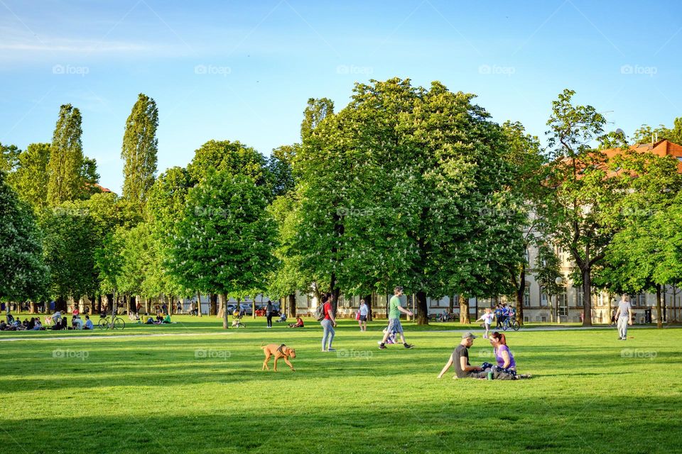 People relaxing in park in city on a sunny afternoon