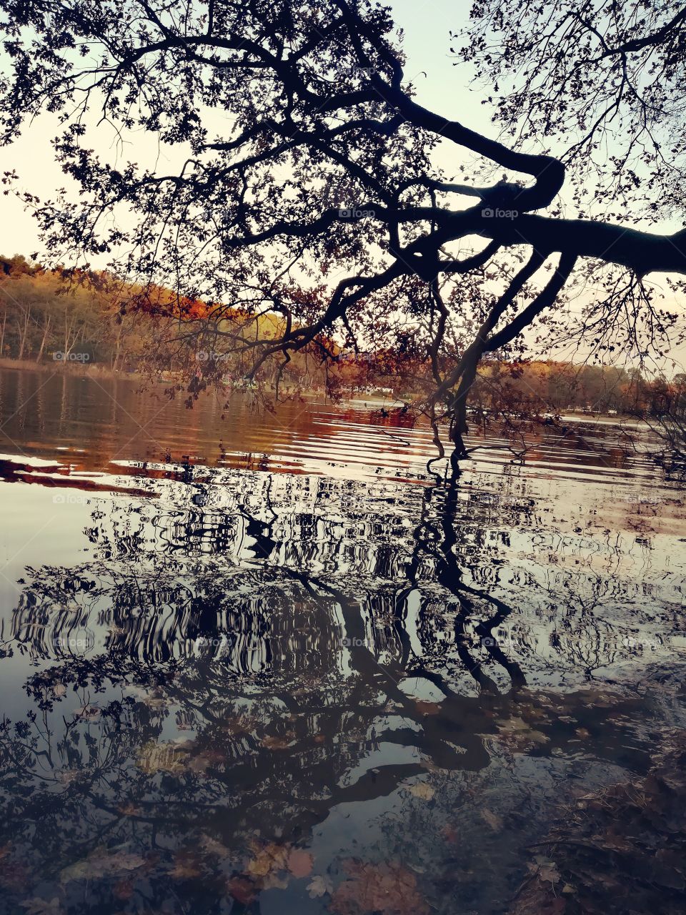 Sky in river