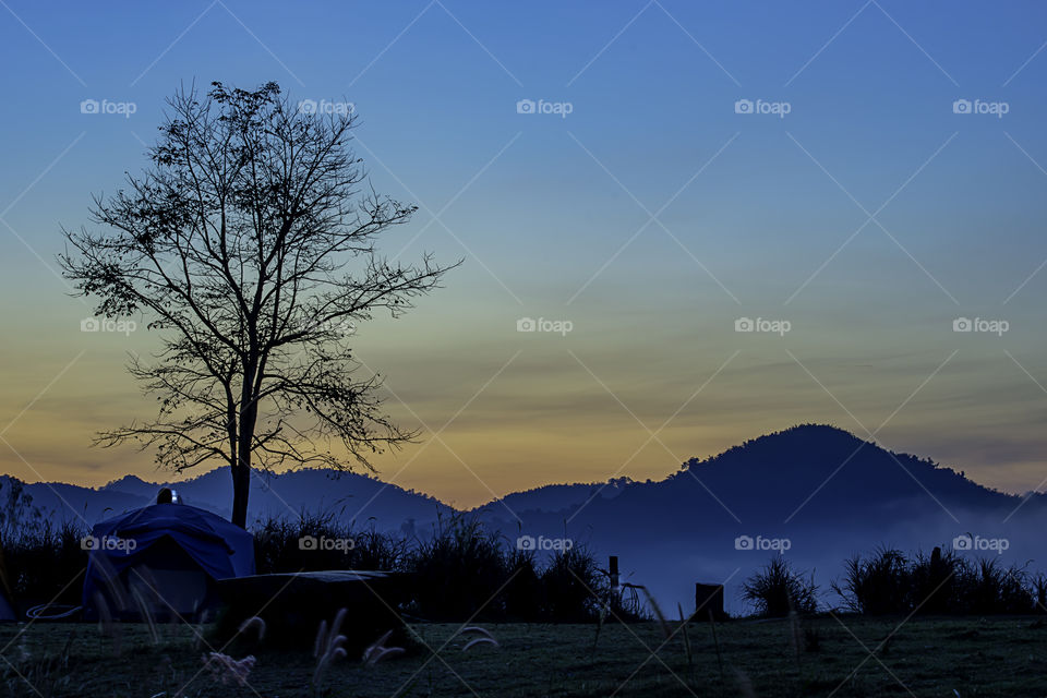 The morning sun behind the mountain and fog covering the trees.