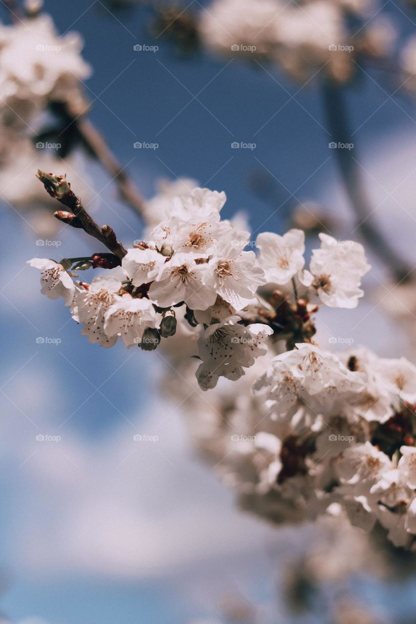 Dare to be different.  Each color in this photo will be experienced differently by each of us.  How beautiful life is.  Is it?