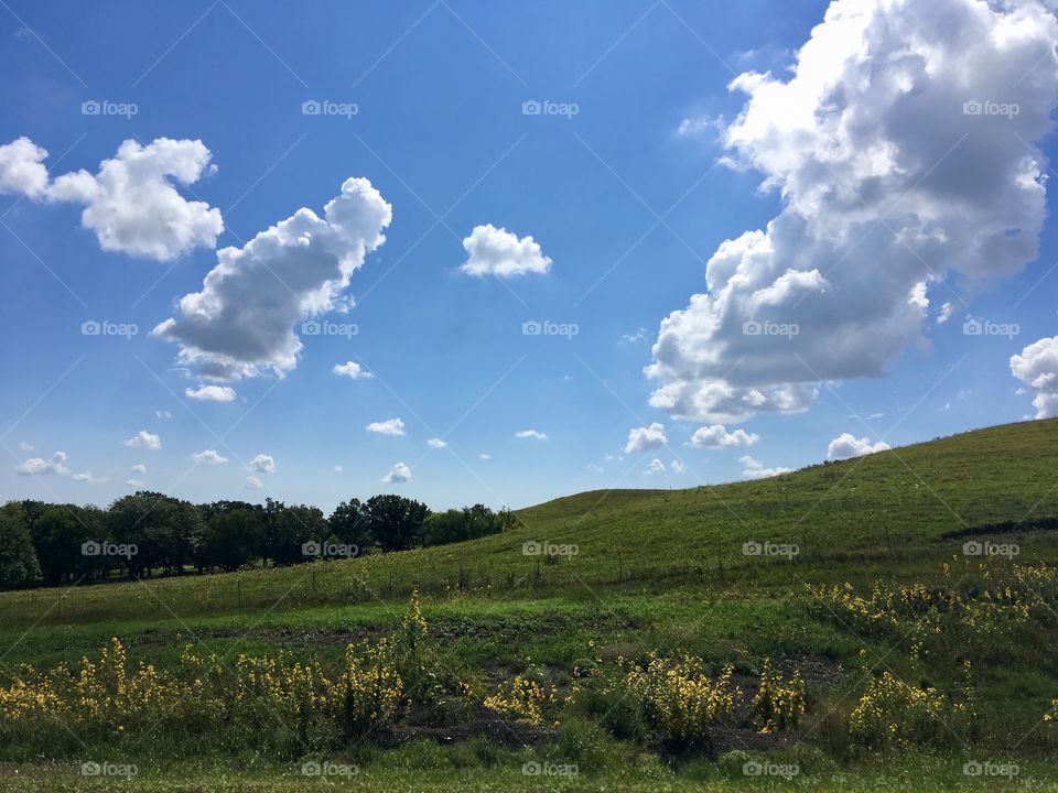 Grassy hill slope against a blue sky with white clouds.