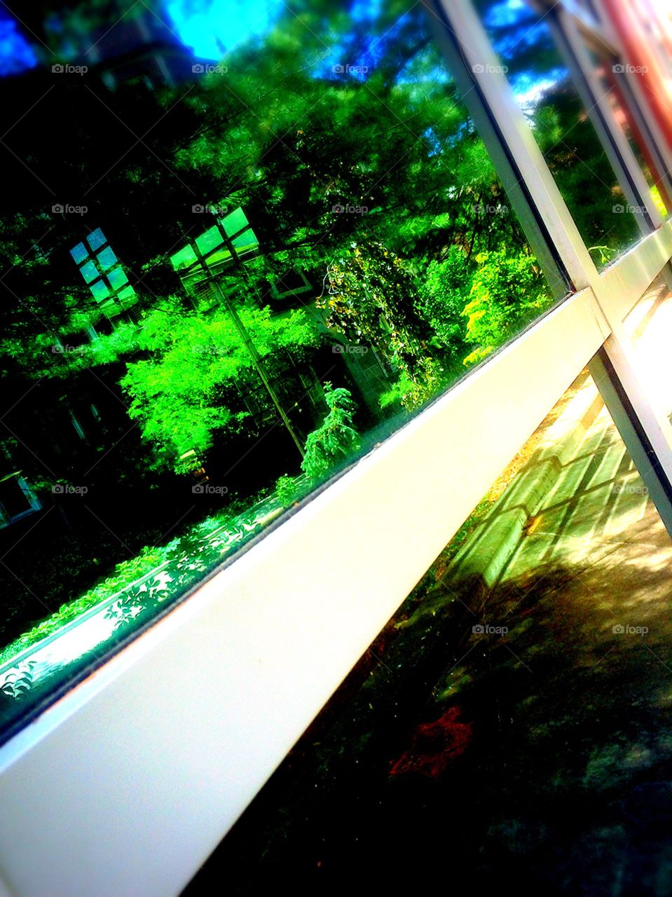 Reflection in a large window 