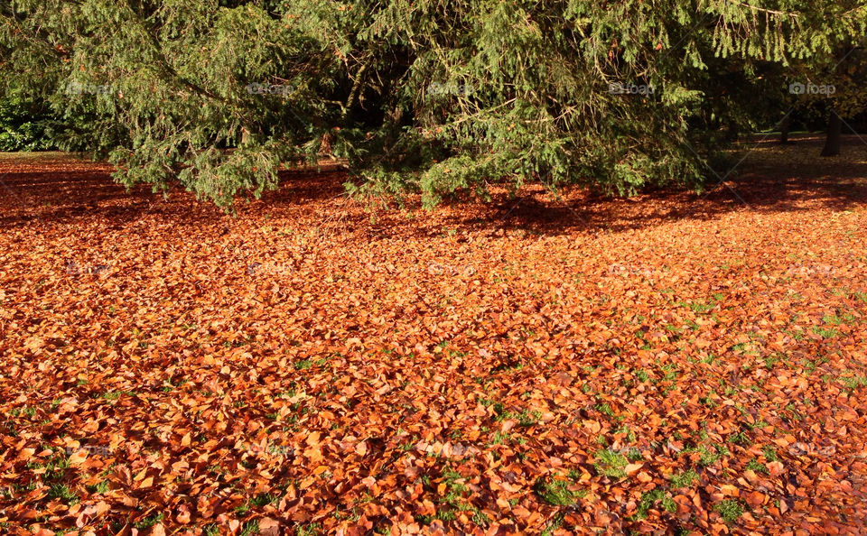 uk coventry mission5 yalla by ijbailey