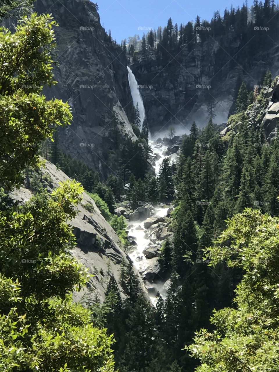 Yosemite National Park