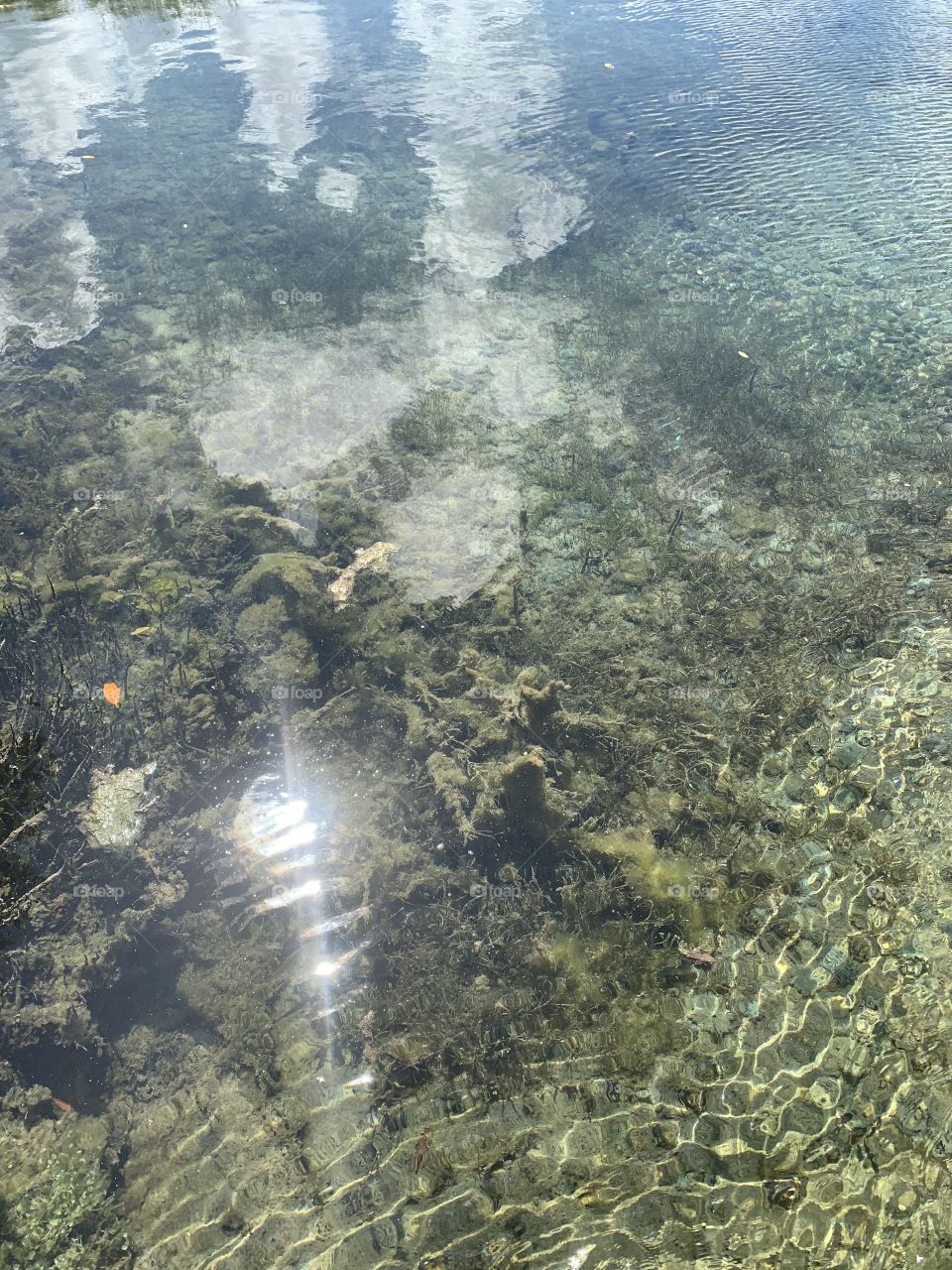 Clear water 