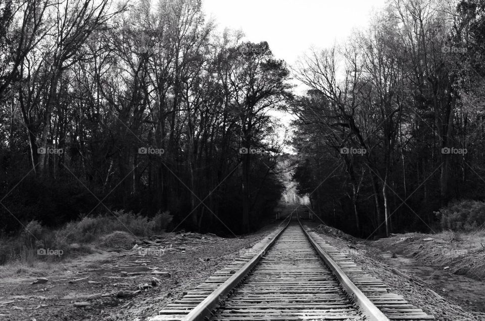 Railroad Track