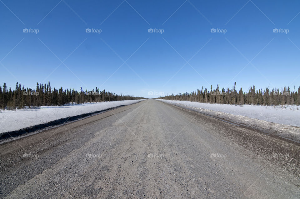 Dempster Highway in the arctic of the Northwest Territories in Canada.  This desolate and remote 450 mile road connects Dawson, Yukon to Inuvik in the Northwest Territories.  It is a rough, difficult road in most spots, with much wildlife.