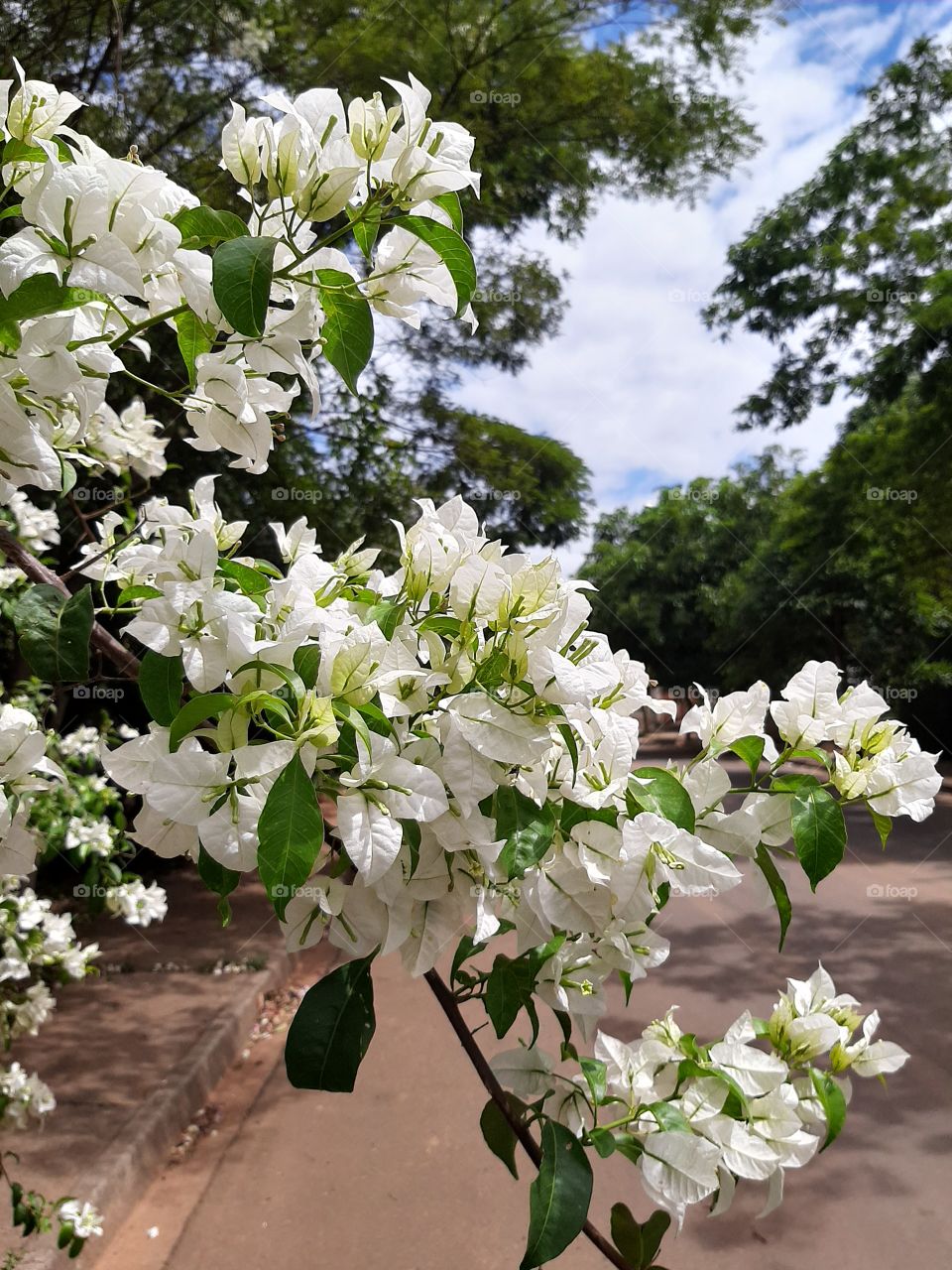 Lightness and peace.