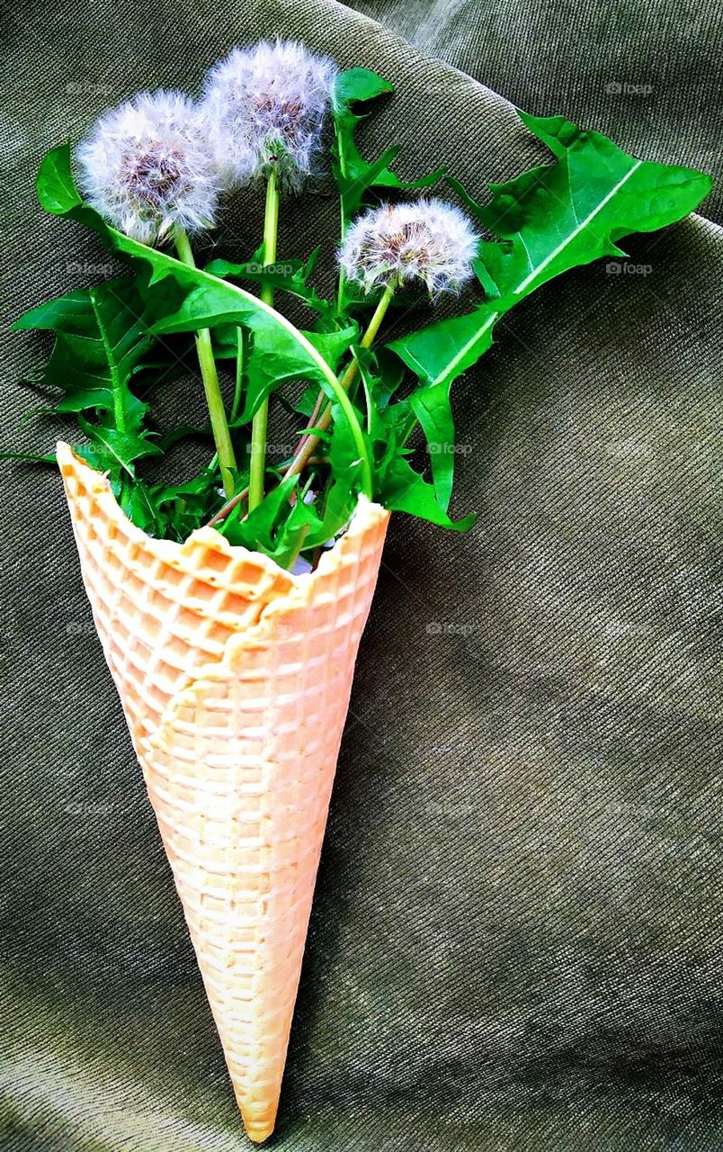 Green color.  On a dark green surface lies a waffle cone containing a green bouquet of dandelions.  Green leaves overlay white dandelion flowers