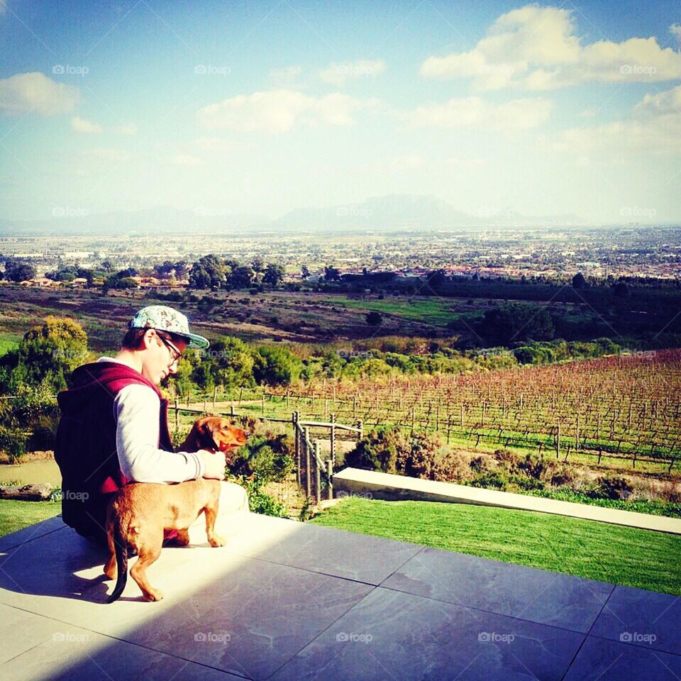 Man sitting with a dog overlooking the vinery field