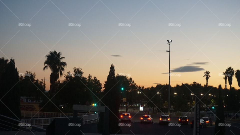 Sunset#night#lights#city#cars#palms#road