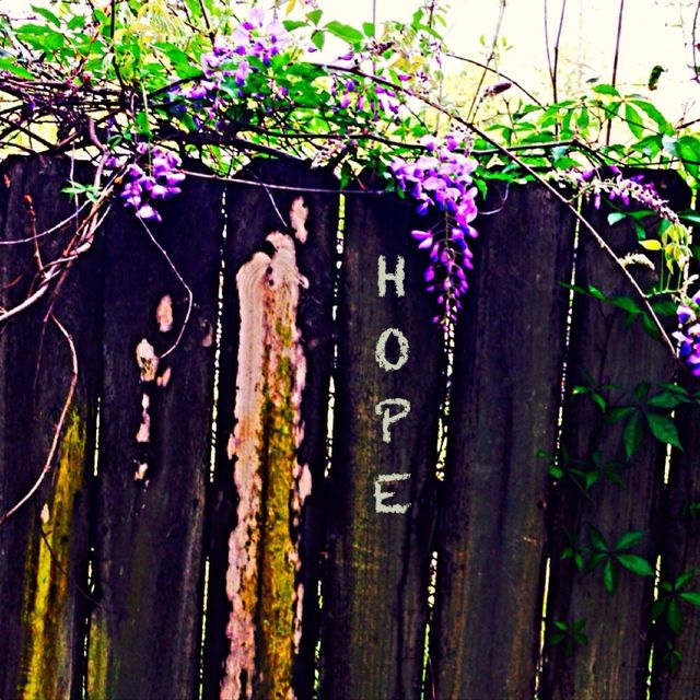 Hope