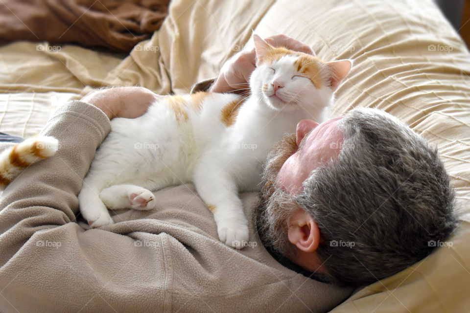 Cat laying on owner's chest.  Cat and owner sitting together on the sofa at home.