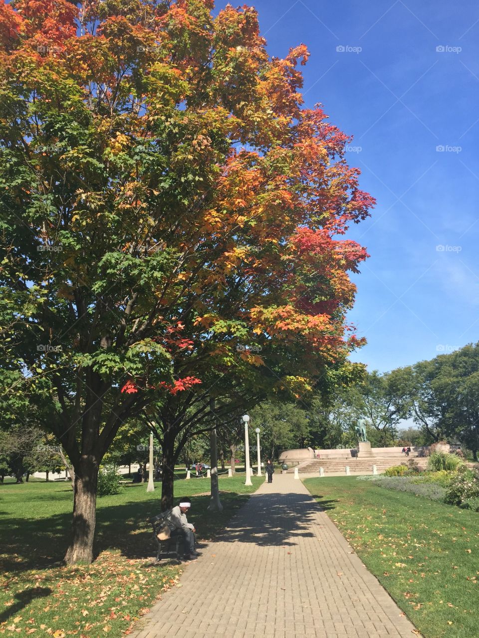 Fall in Chicago 