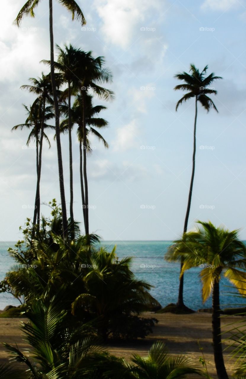 Puerto Rico beach