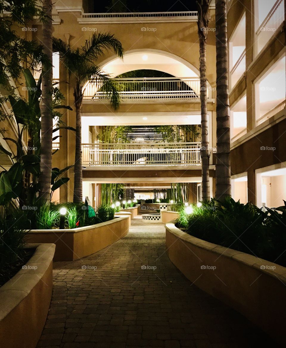 Nighttime view of courtyard with palm trees and lighted walkways
