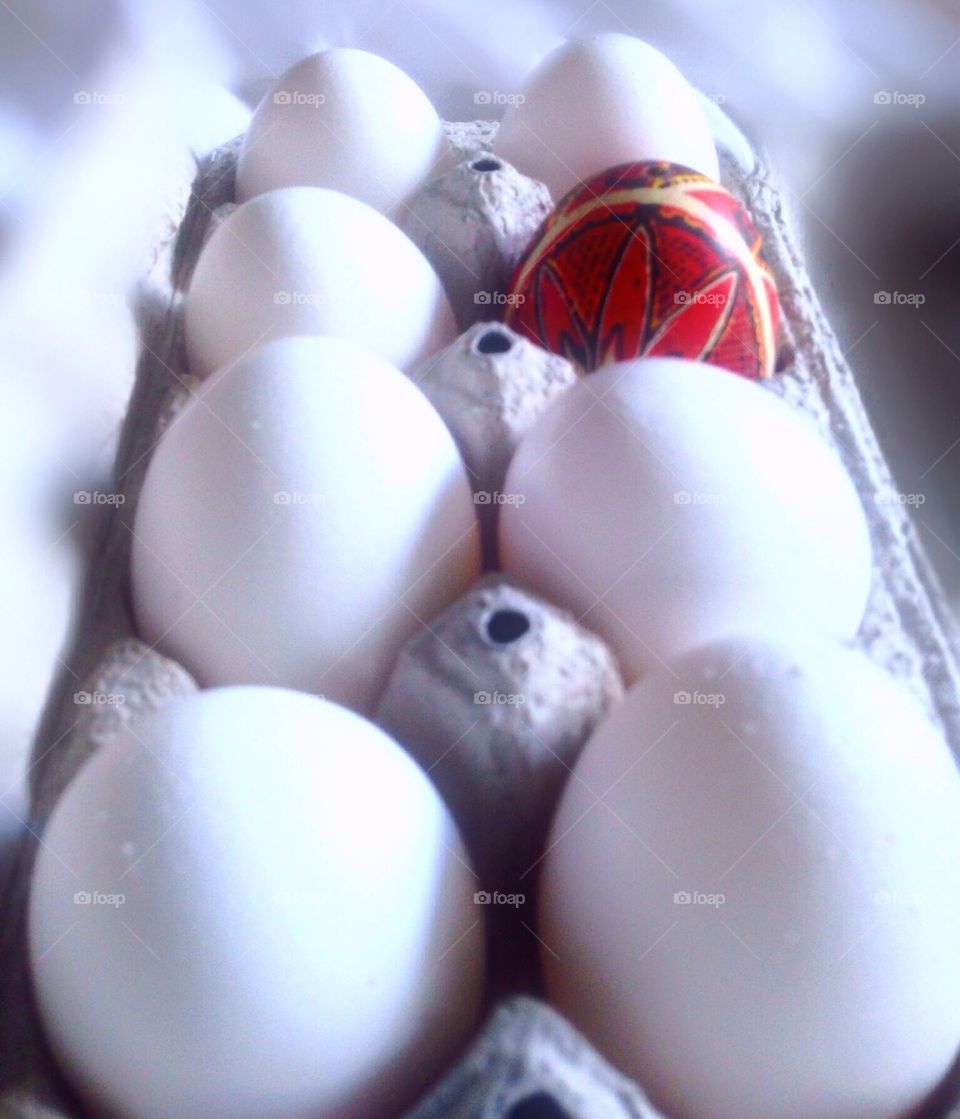 red white eggs difference by emsingh