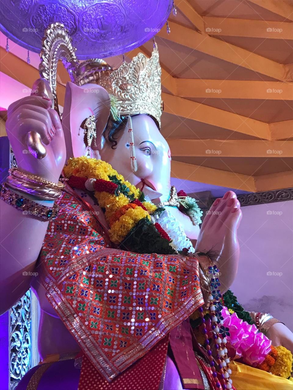 Beautiful side image of Ganesha