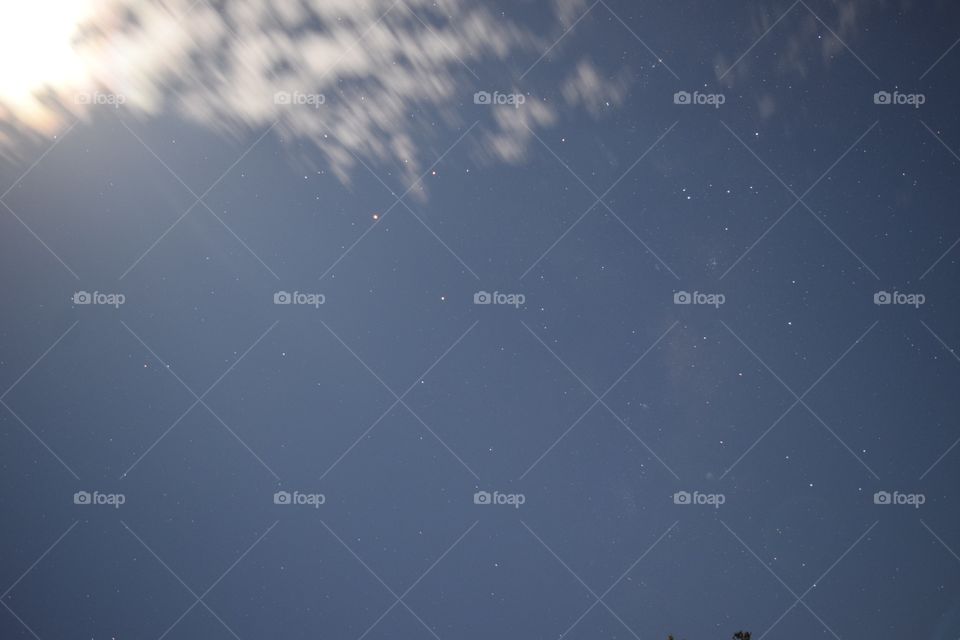 All rights reserved Julia Okada