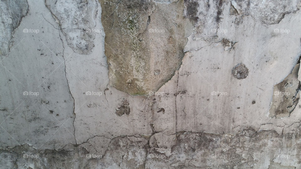 Moldy wall