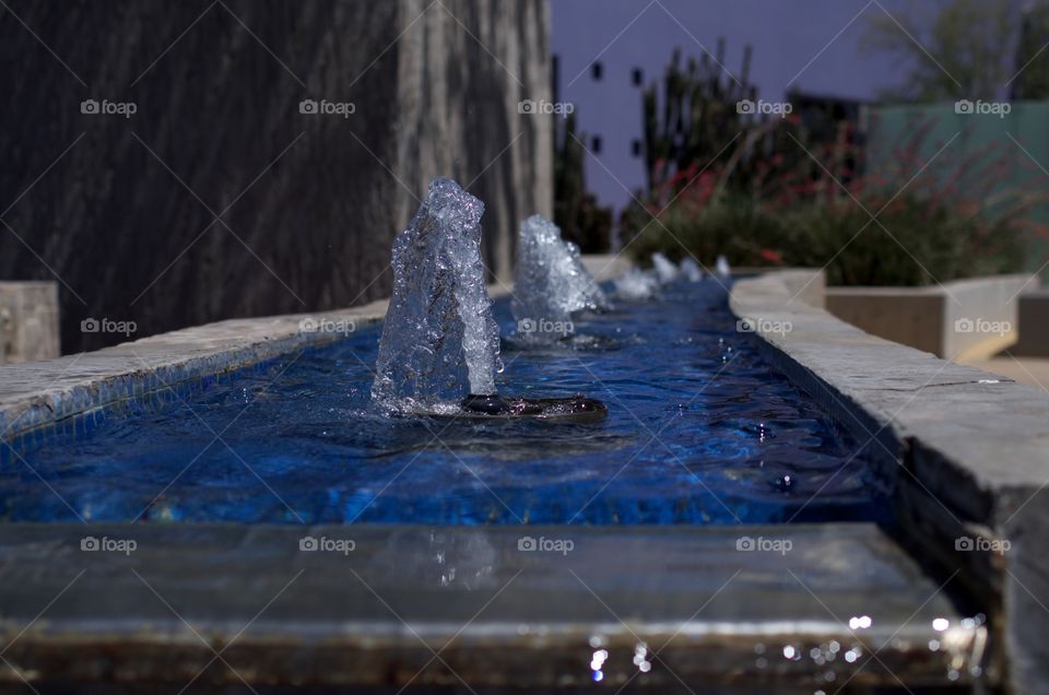 Fountain 