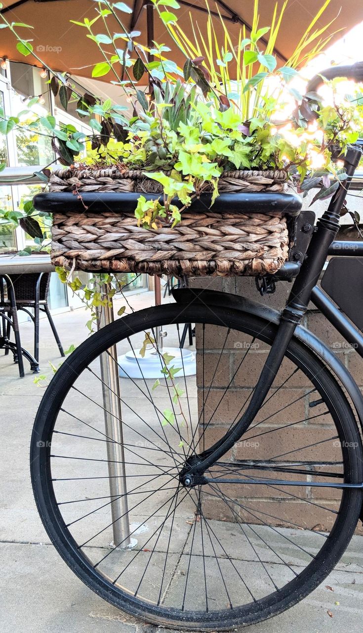 bicycle planter