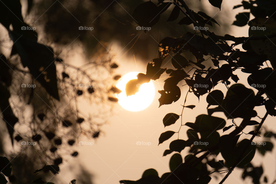 Nature is so beautifull capture it because every moment nature is changed