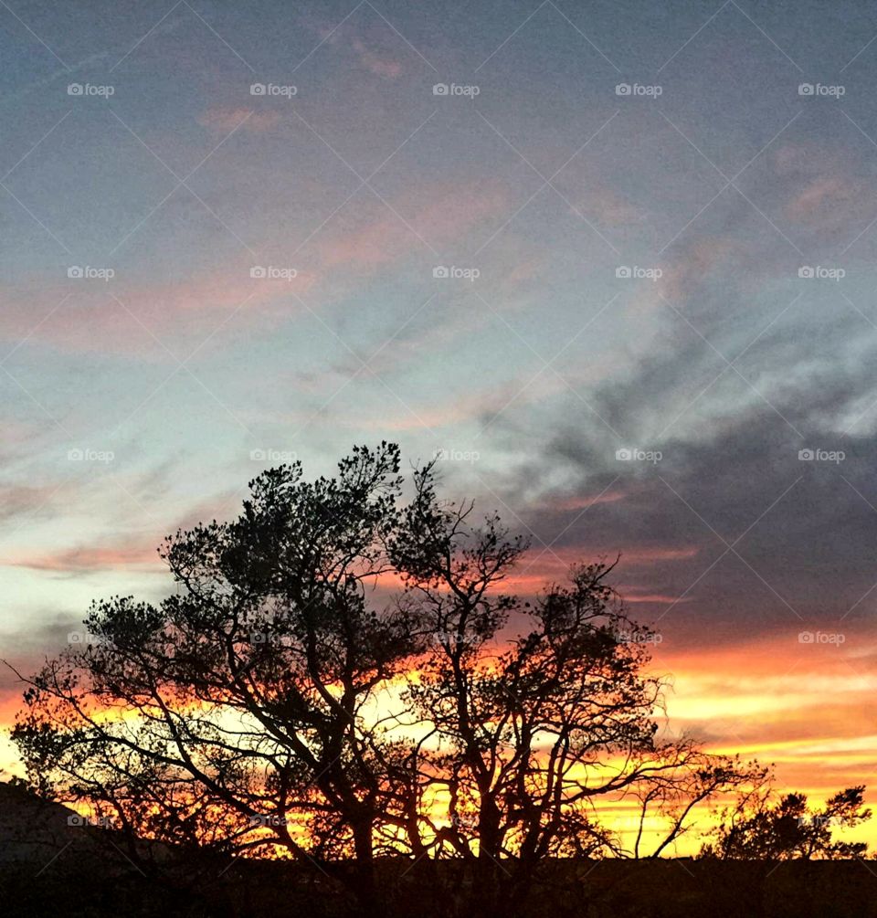 Dusk at Phoenix Mtn. preserve, with a colorful backdrop only Mother Nature could provide.