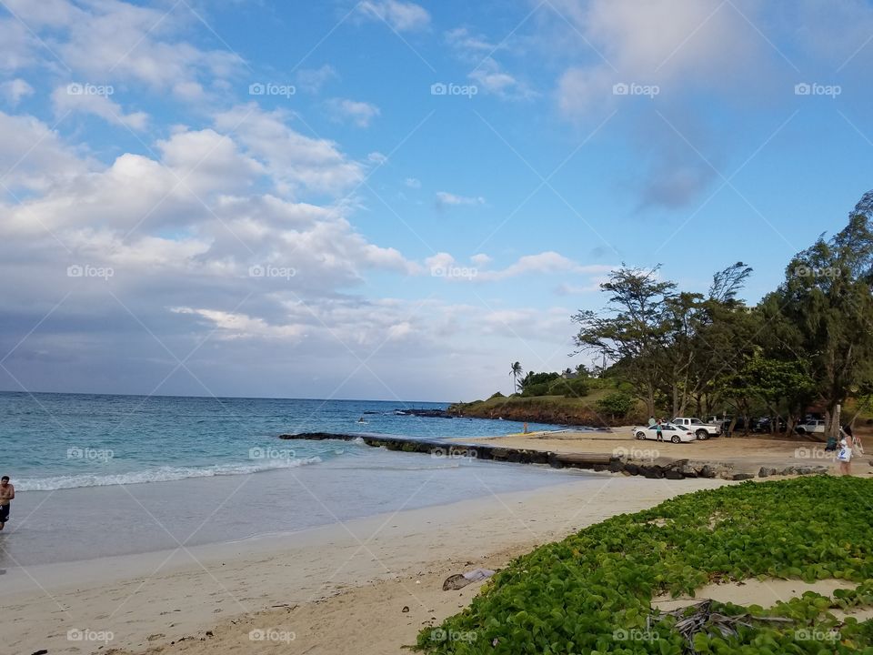 Beach in Oahu