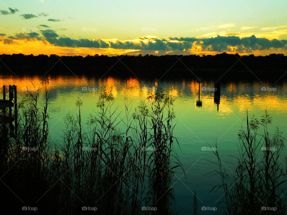 Silhouette of trees reflecting in lake