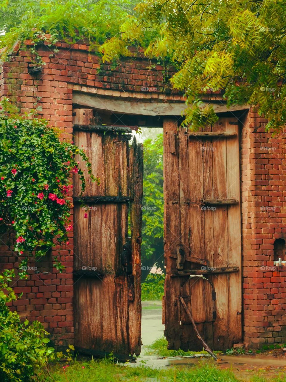 nature with architecture