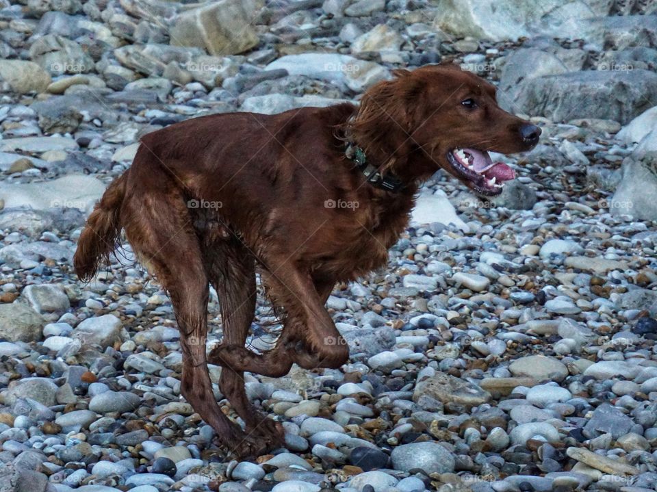 Watch Out Quinn’s About