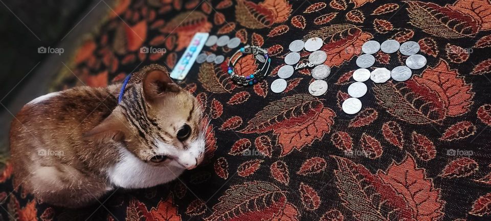 I love history. Everything is inspired by history so that is why I love vintage and antique