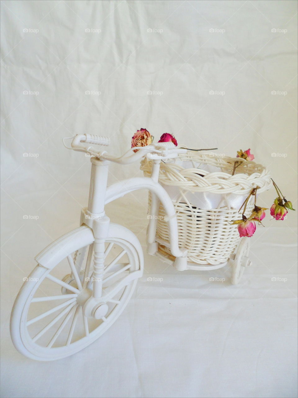 decorative toy bike and dried rose buds