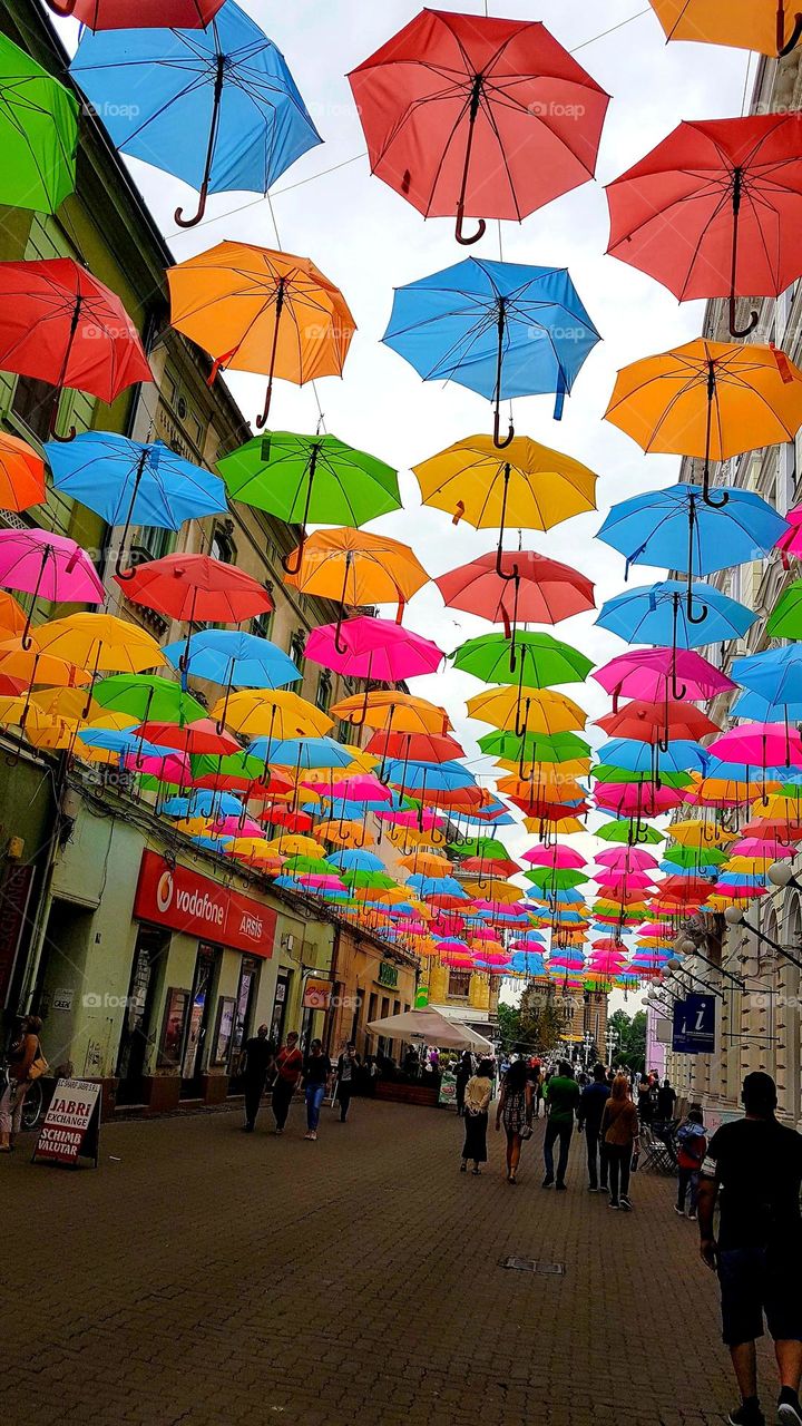 lots of colorful umbrellas, Timisoara, Romania