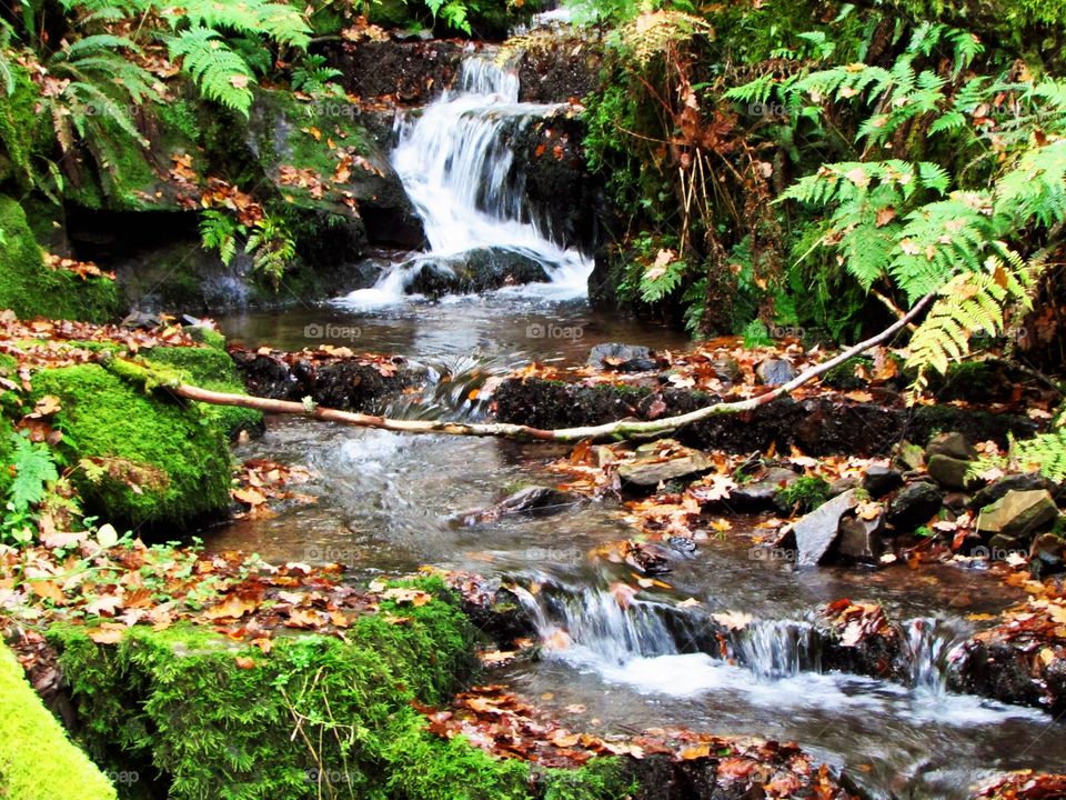 Flowing water in autumn