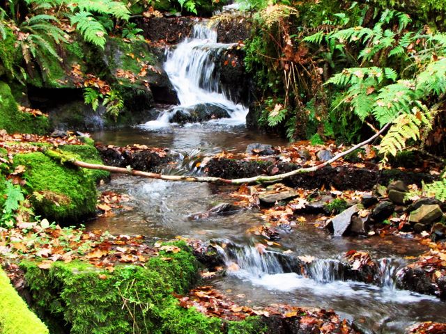 Flowing water in autumn
