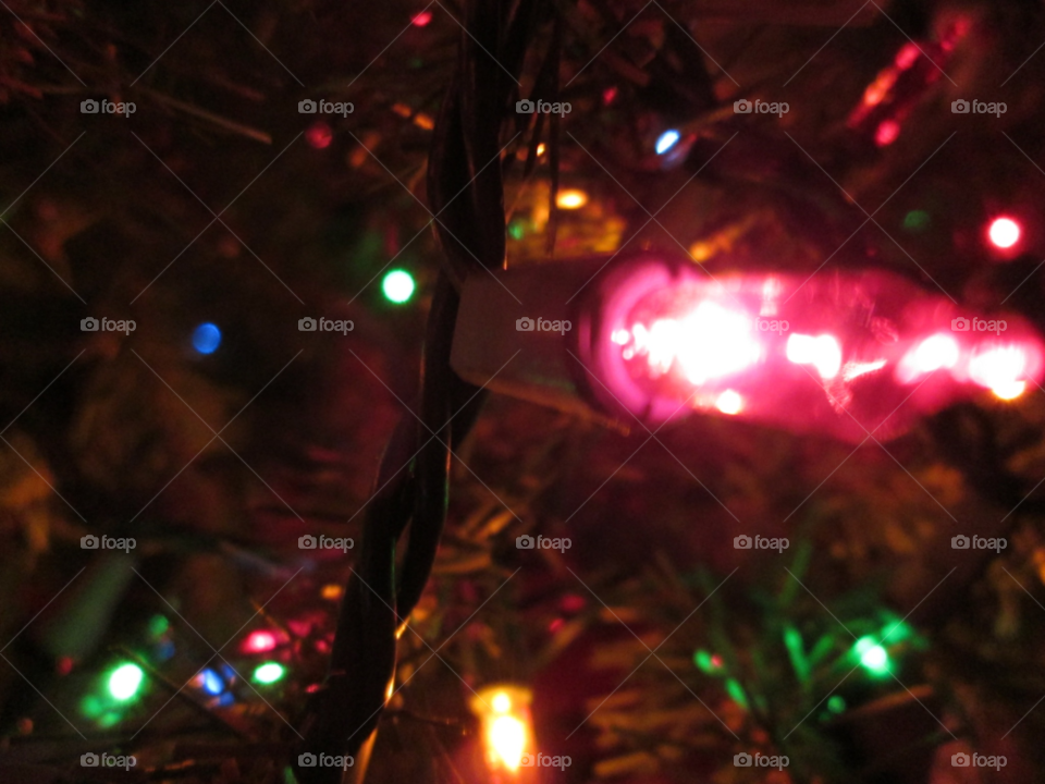 winter colors tree christmas by ashley77