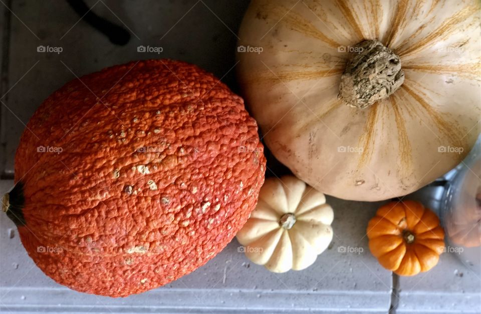 Foap Mission First Signs Of Autumn! Flat Lay Shot Of Unique Fall Pumpkins!