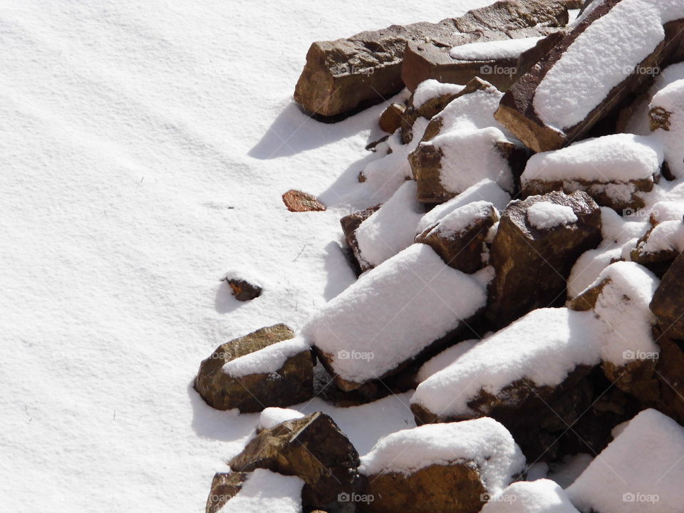 stone cold and Snow White