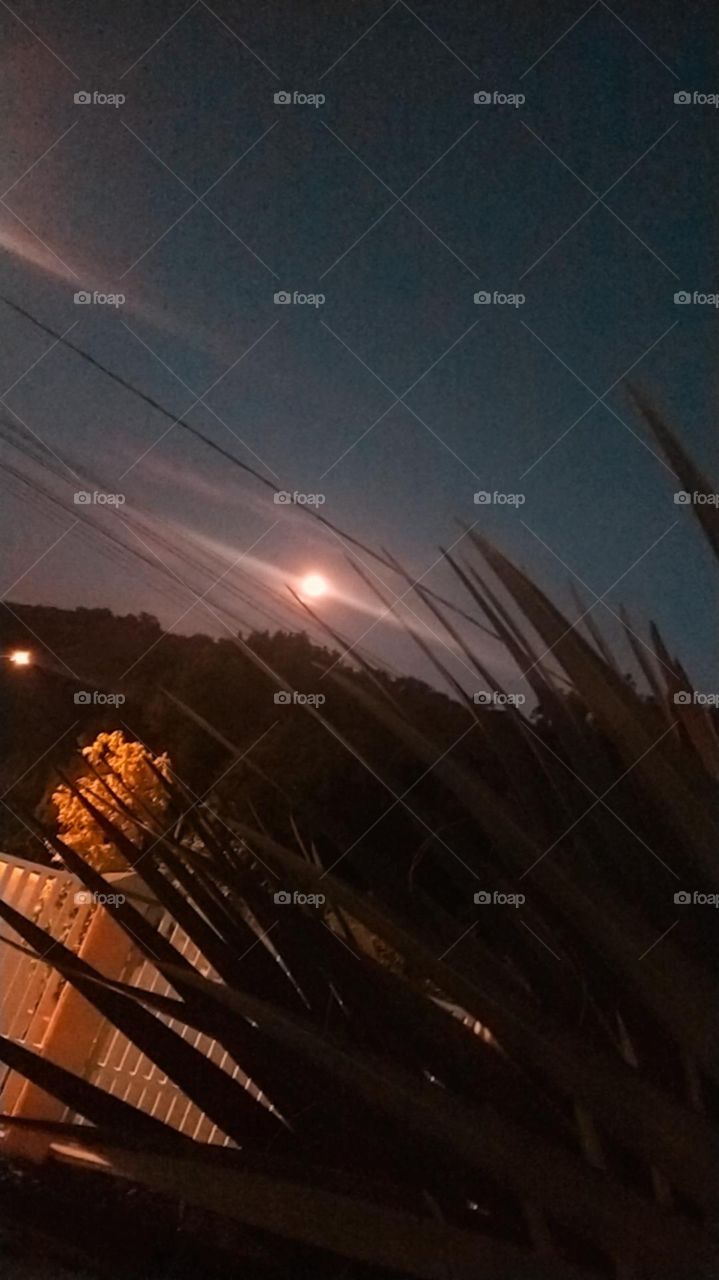 Noite de Lua cheia.Bela imagem.