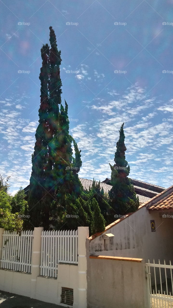 #Foap_love #traveling #photooftheday #travelphotography #wanderlust #followPost #explore #likeforlikes #adventure #picoftheday  #wandern #Lifestyle #followme #shooting
#kunst #natürliches_Licht