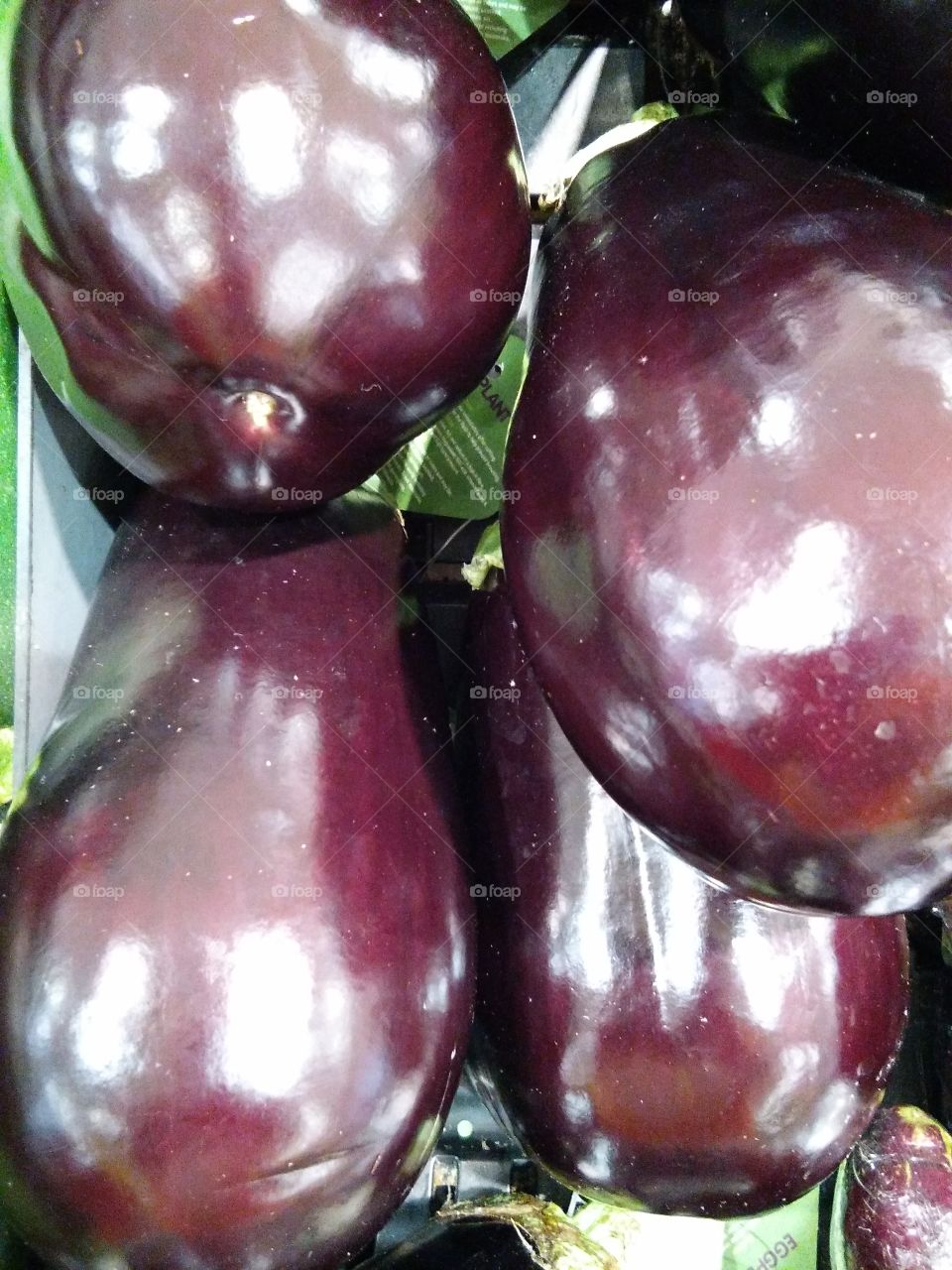 Eggplant