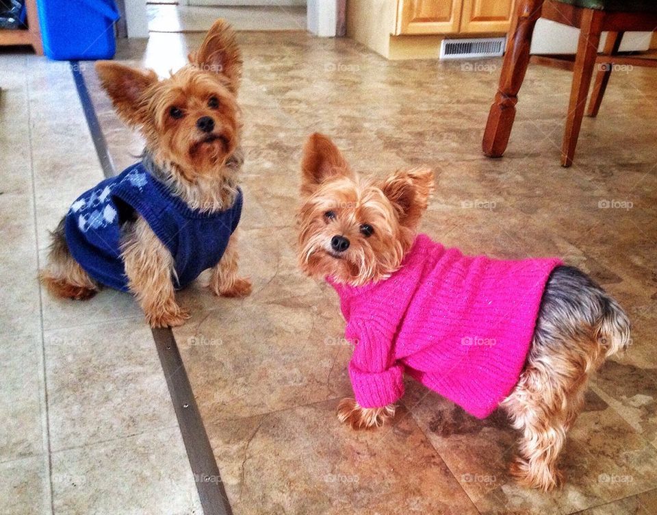 Showing off new sweaters
