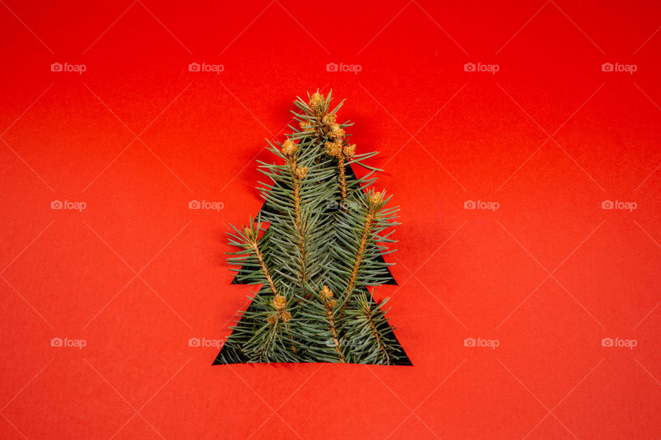 Creative christmas tree on red background